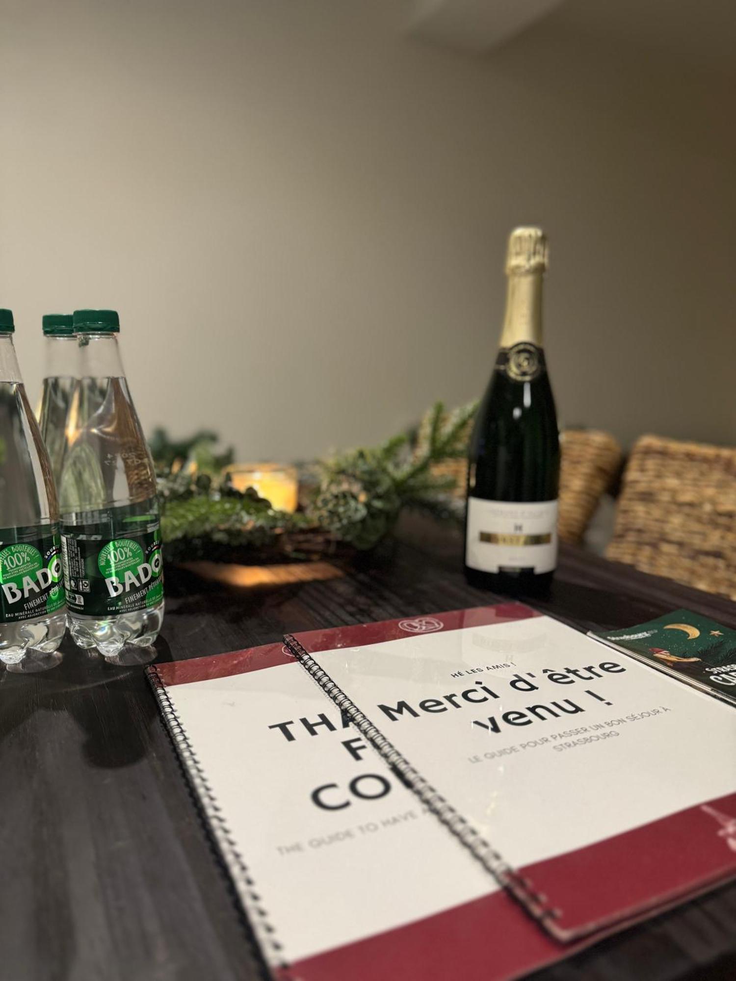 Le Strasbourgeois Apartment Ngoại thất bức ảnh